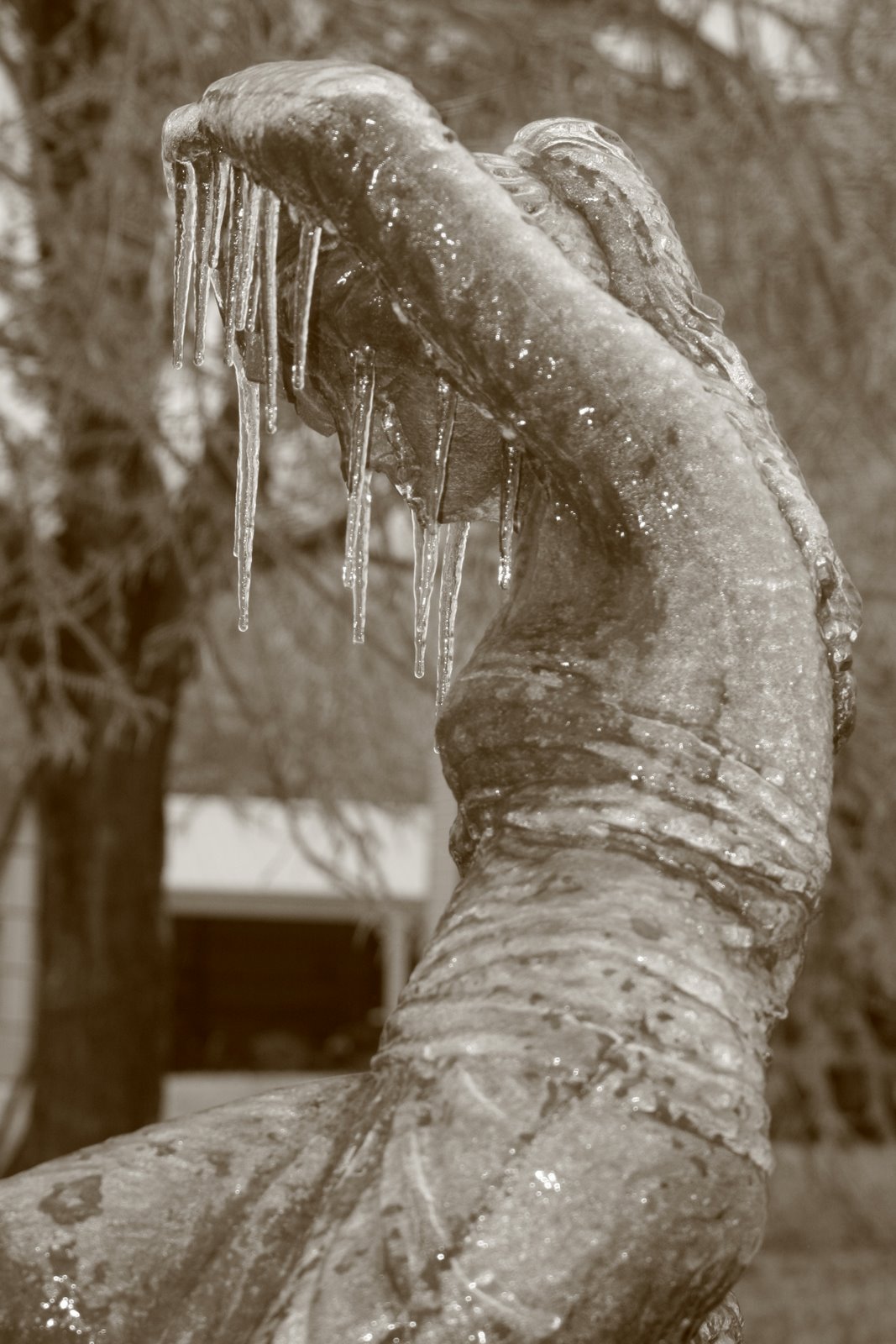 [IMG_2865.JPG]