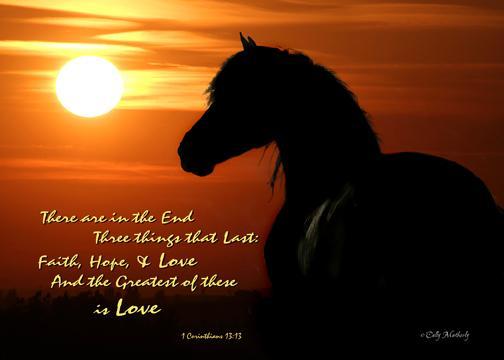 Chasing Their Hearts: Daily Devo- I Thessalonians 5:1-11 "What Are You