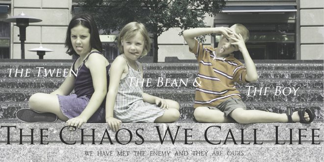 The Chaos we Call Life