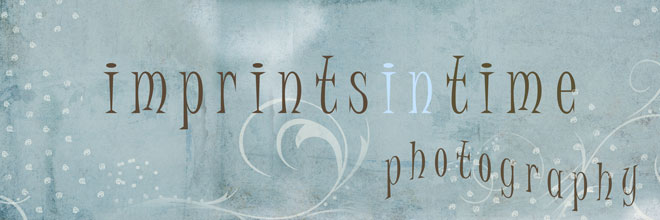 the blog