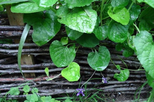 [DSC00859.JPG]