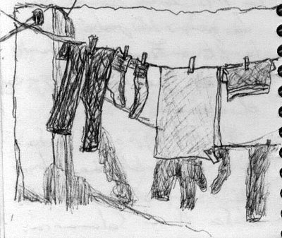 Entre yuca y palma: julio 2009