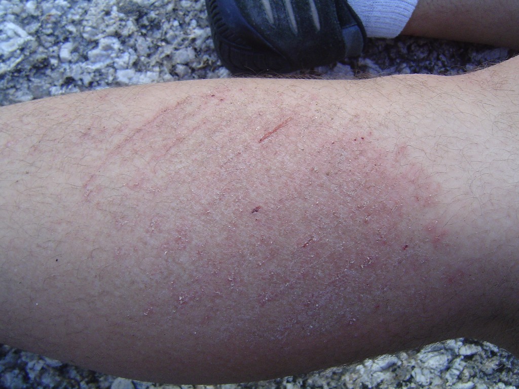 [DSC02688.JPG]