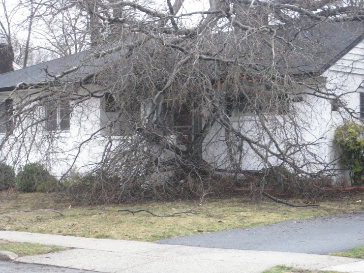 House on Queen St