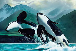 Orcas