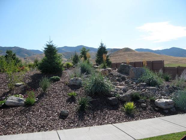 bamamoma 1 landscaping ideas