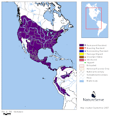 Distribución