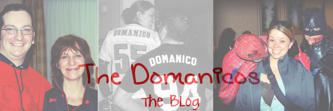 The Domanicos 2008