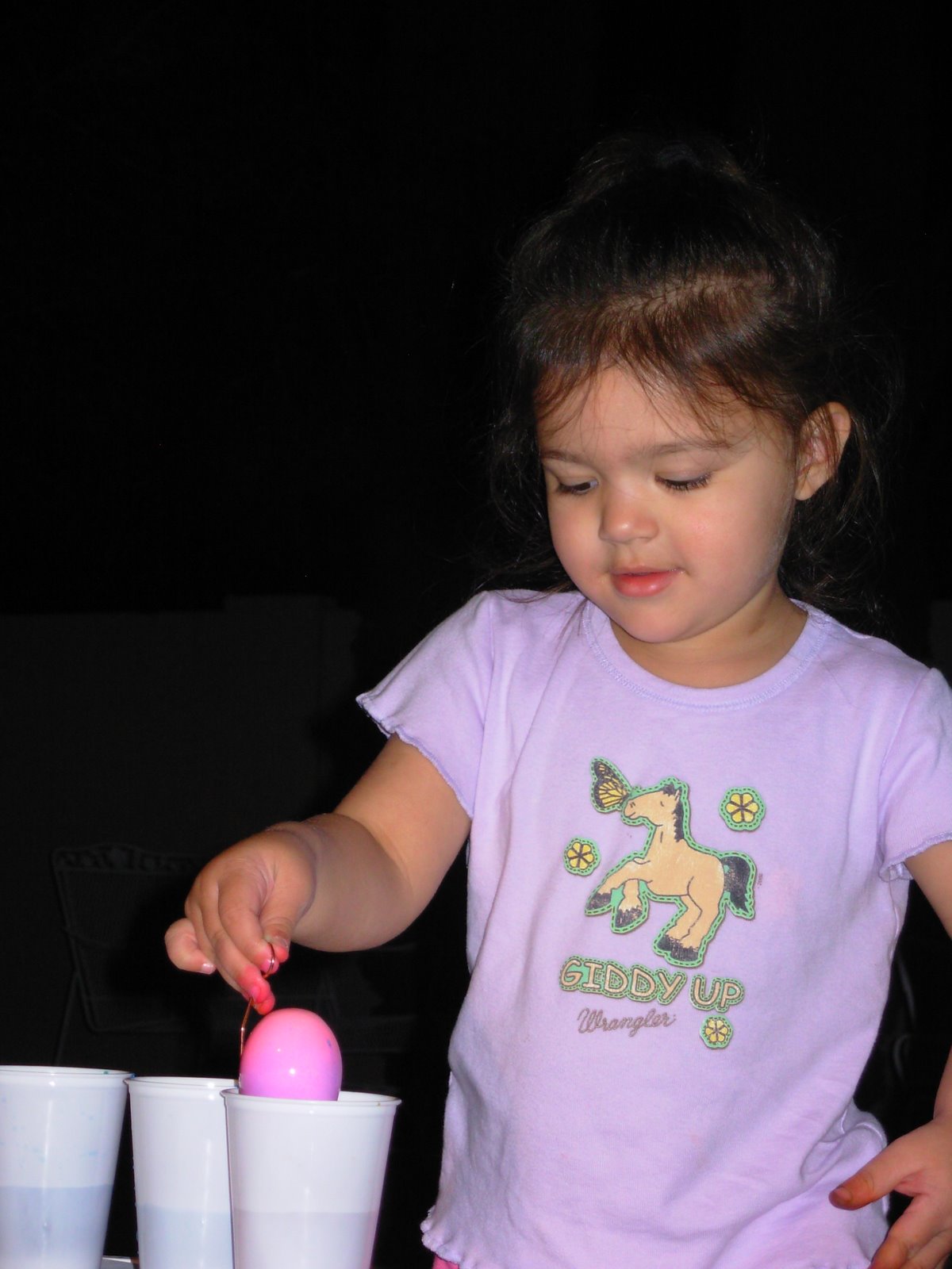 [DSCN3895.JPG]
