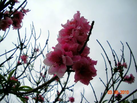 [DSCN6781.JPG]
