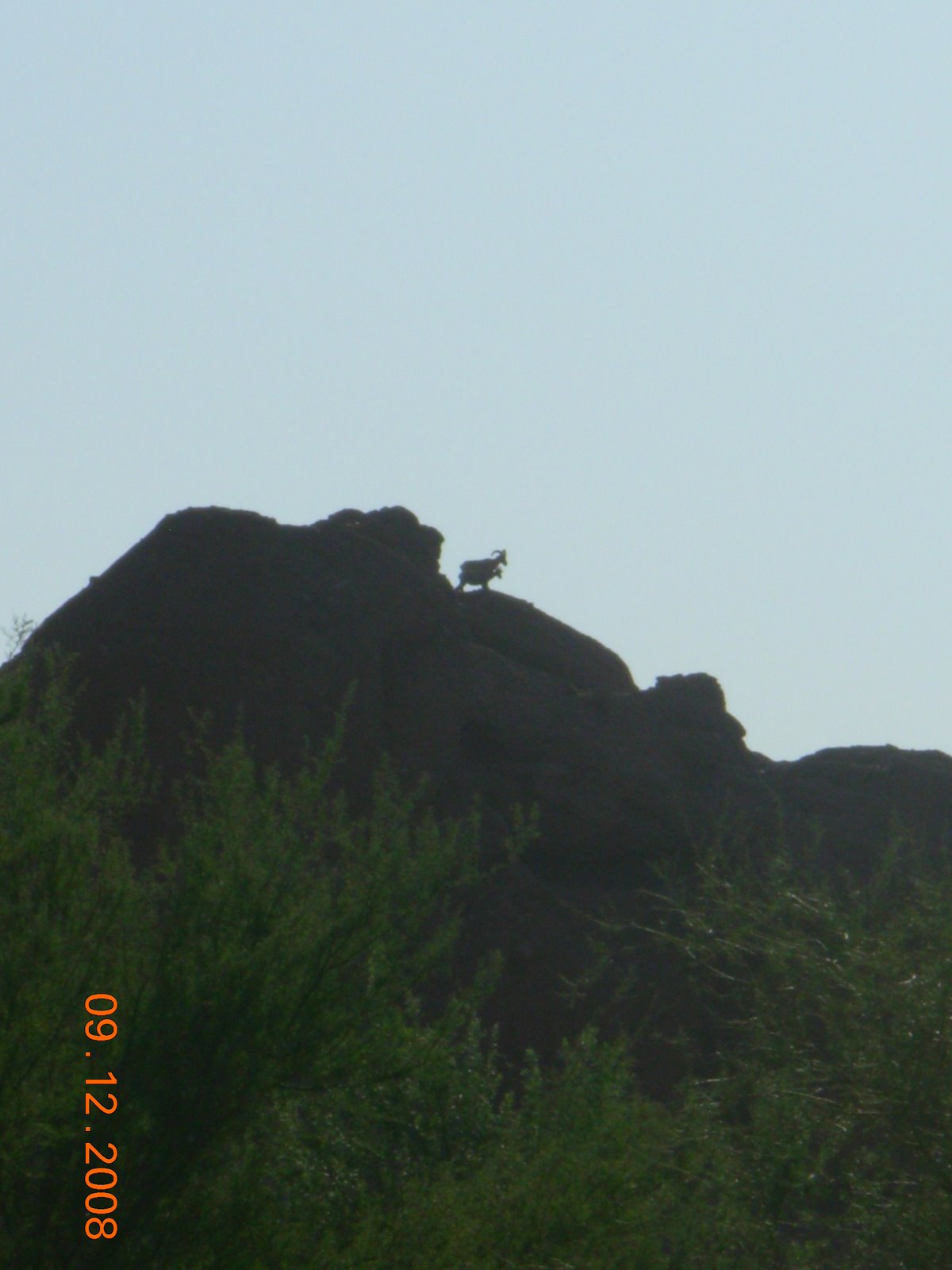 [DSCN4914.JPG]