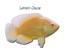 Lemon Oscar