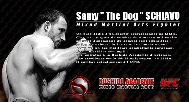 Samy The Dog : Mixed Martial Arts Fighter