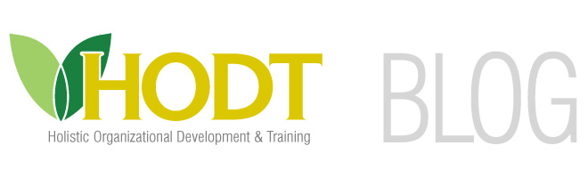 Holistic Organizational Development and Training