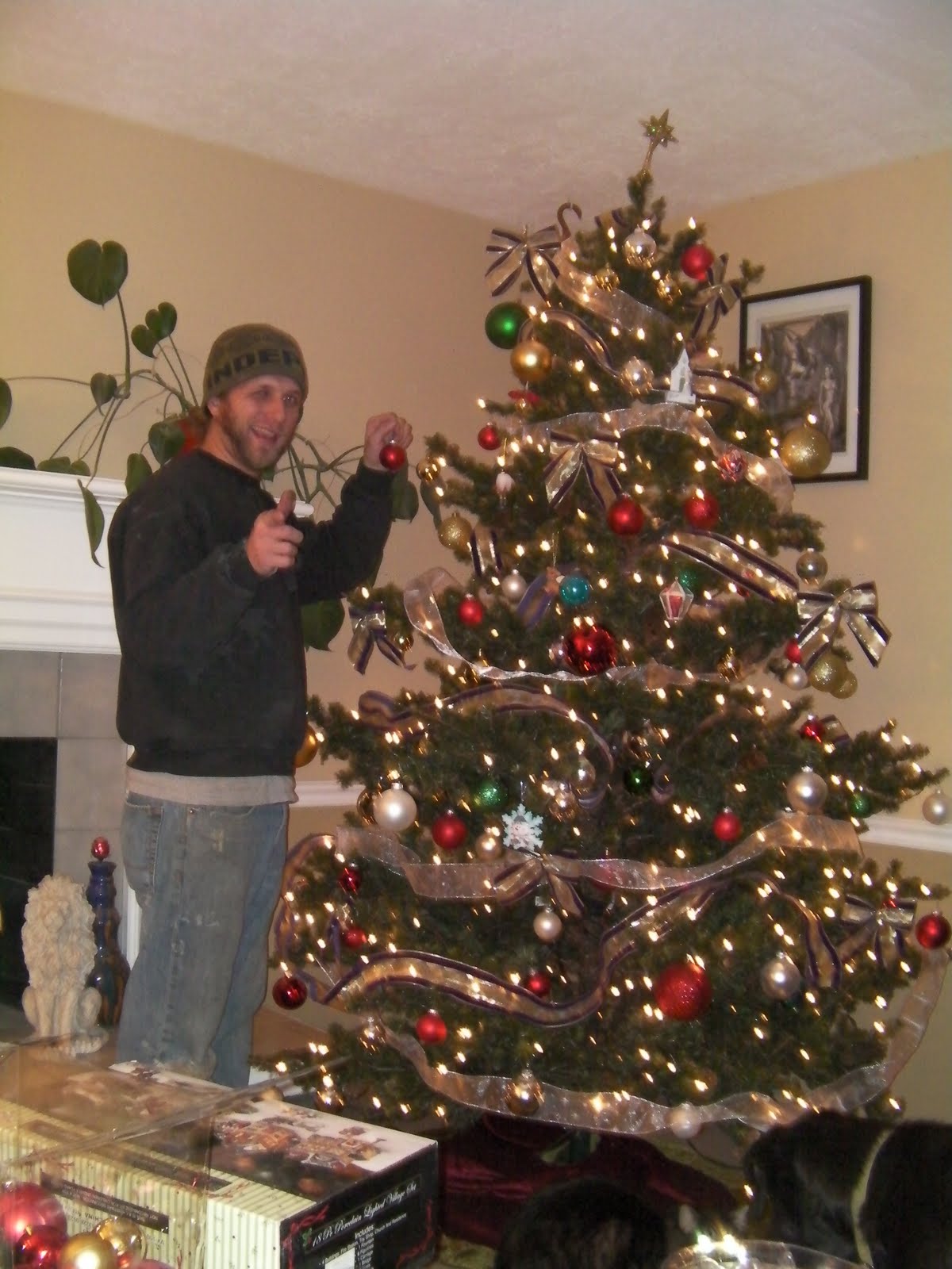[tim+decorating+tree.JPG]