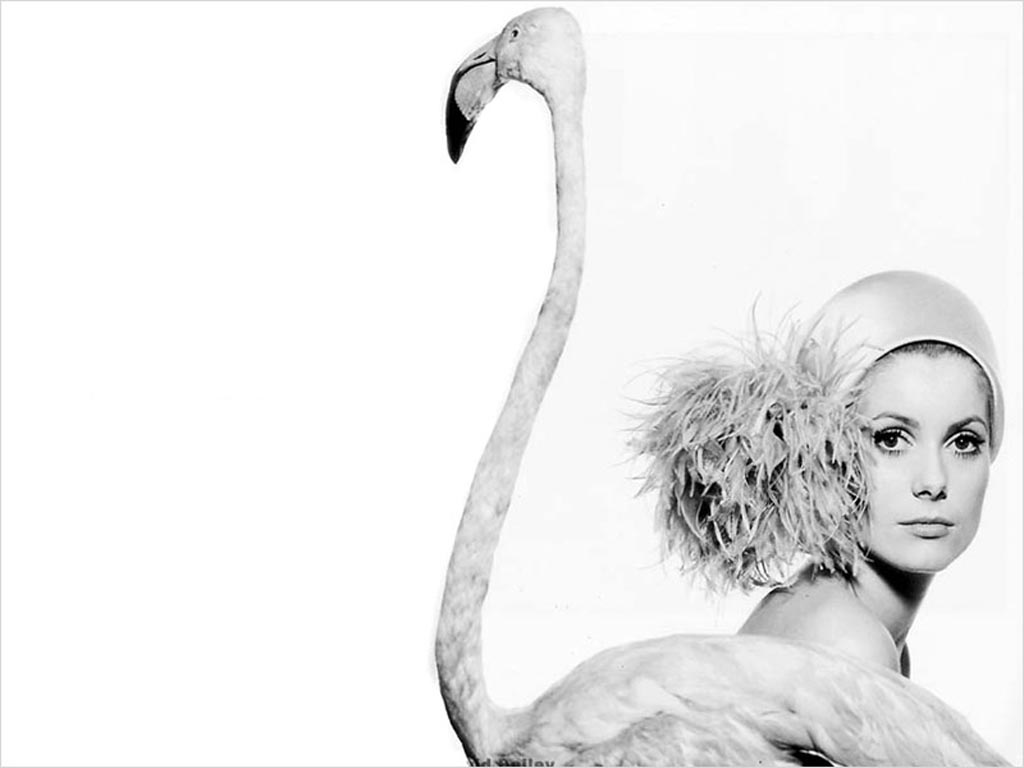 [Wallpaper_i111.jpg]