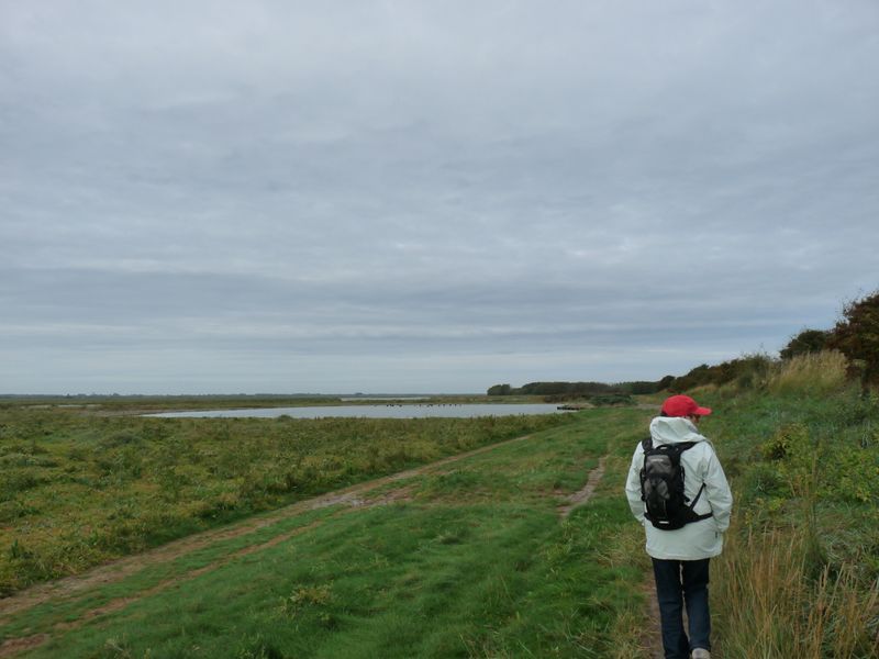 Mes randonnées La Baie de l'Authie
