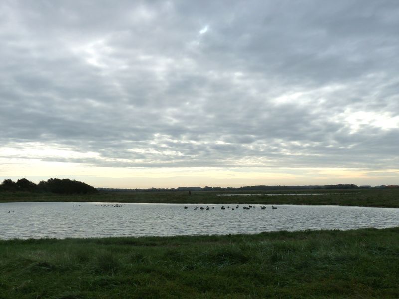 Mes randonnées La Baie de l'Authie