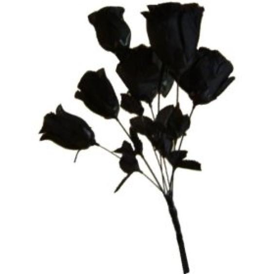 wallpaper black rose. wallpaper rose black. rose