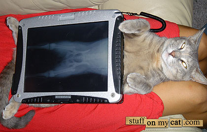 [20071227-Gizmo.jpg]