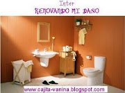 Intercambio renovando mi baño