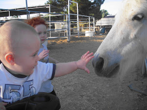 Rory loves horses now too!
