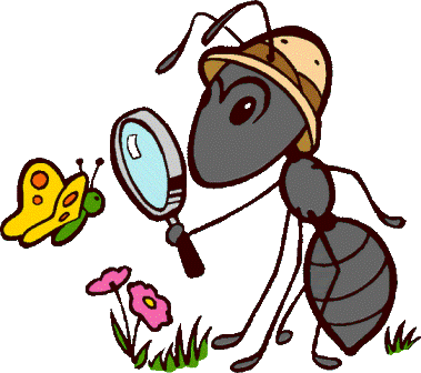 [ant.gif]
