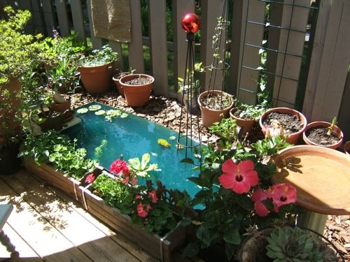 [Backyard.JPG]