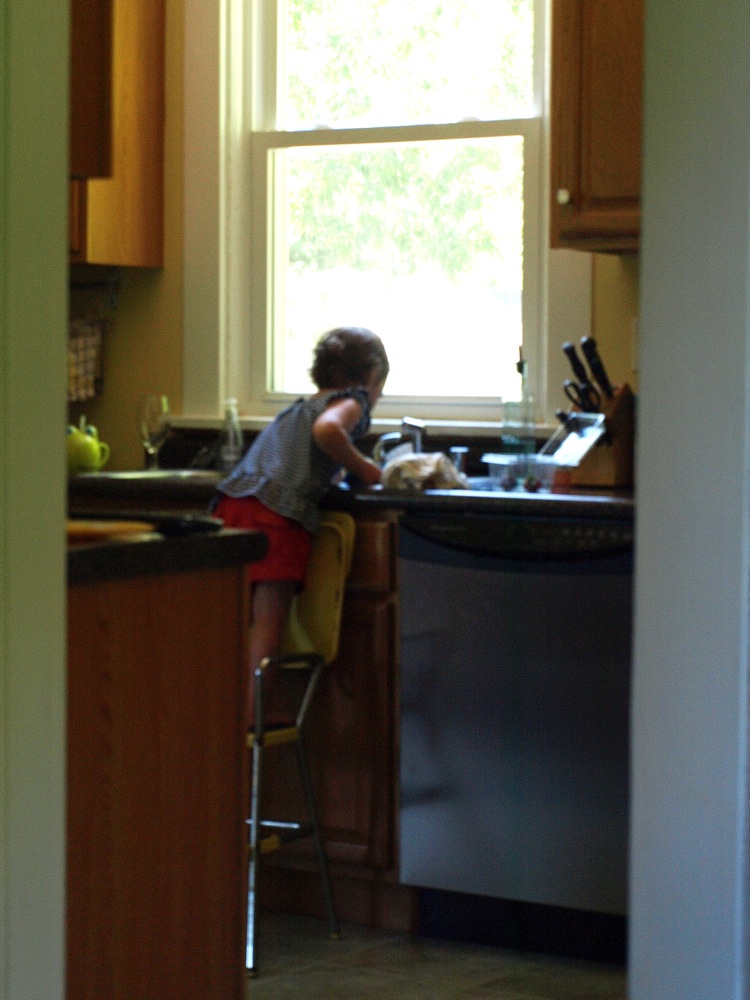 [P6234743sml.JPG]