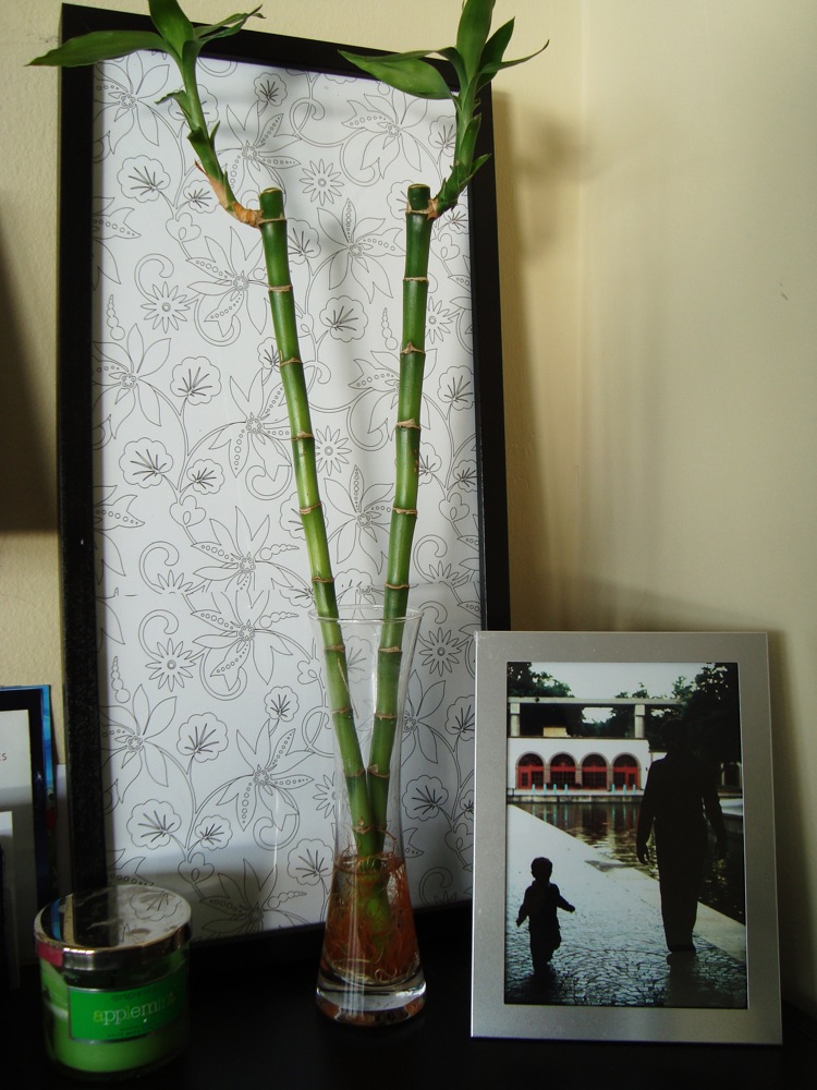 [DSC07710-1sml.JPG]