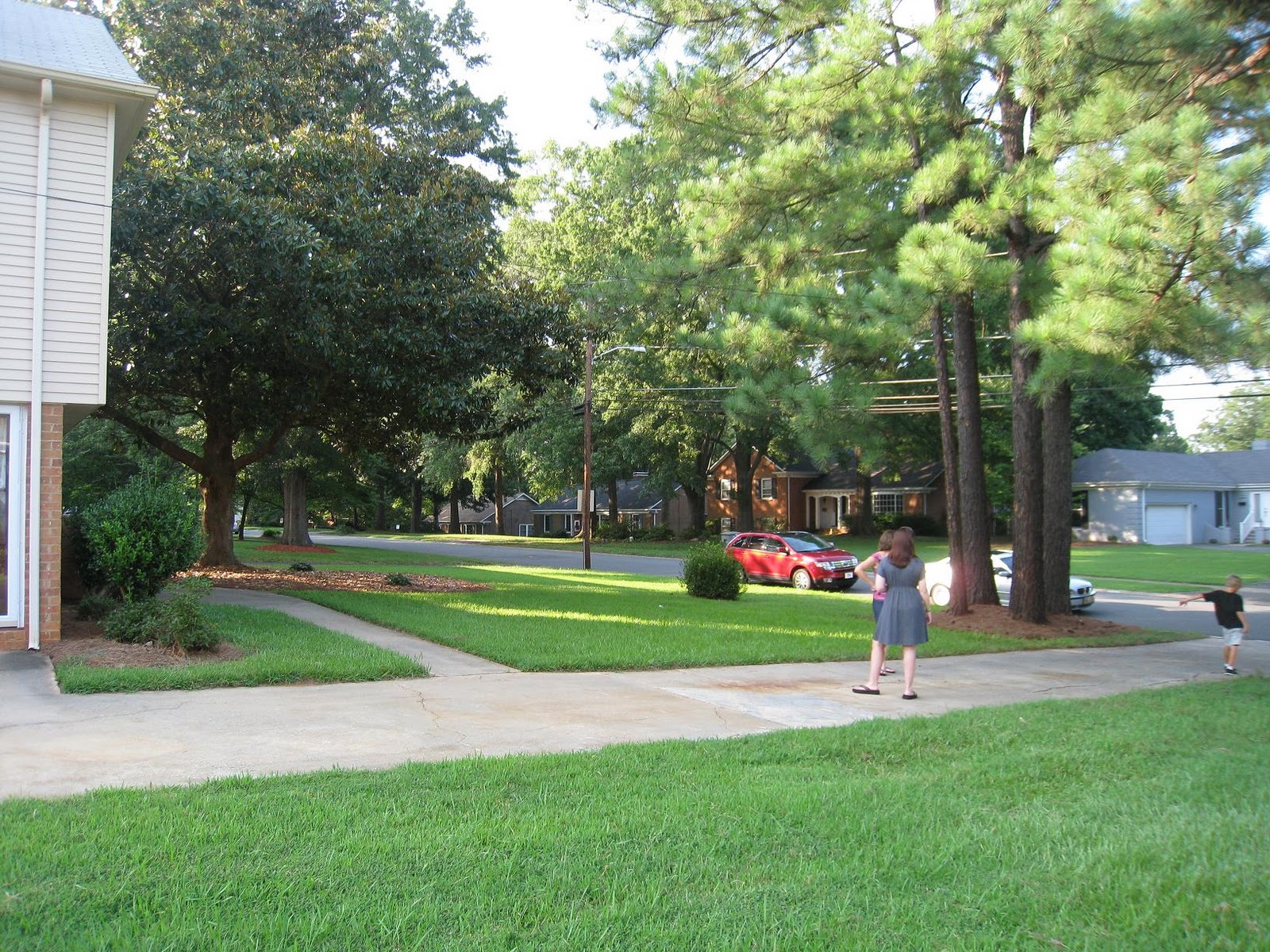 Our Goneaway House: Renovating the front yard