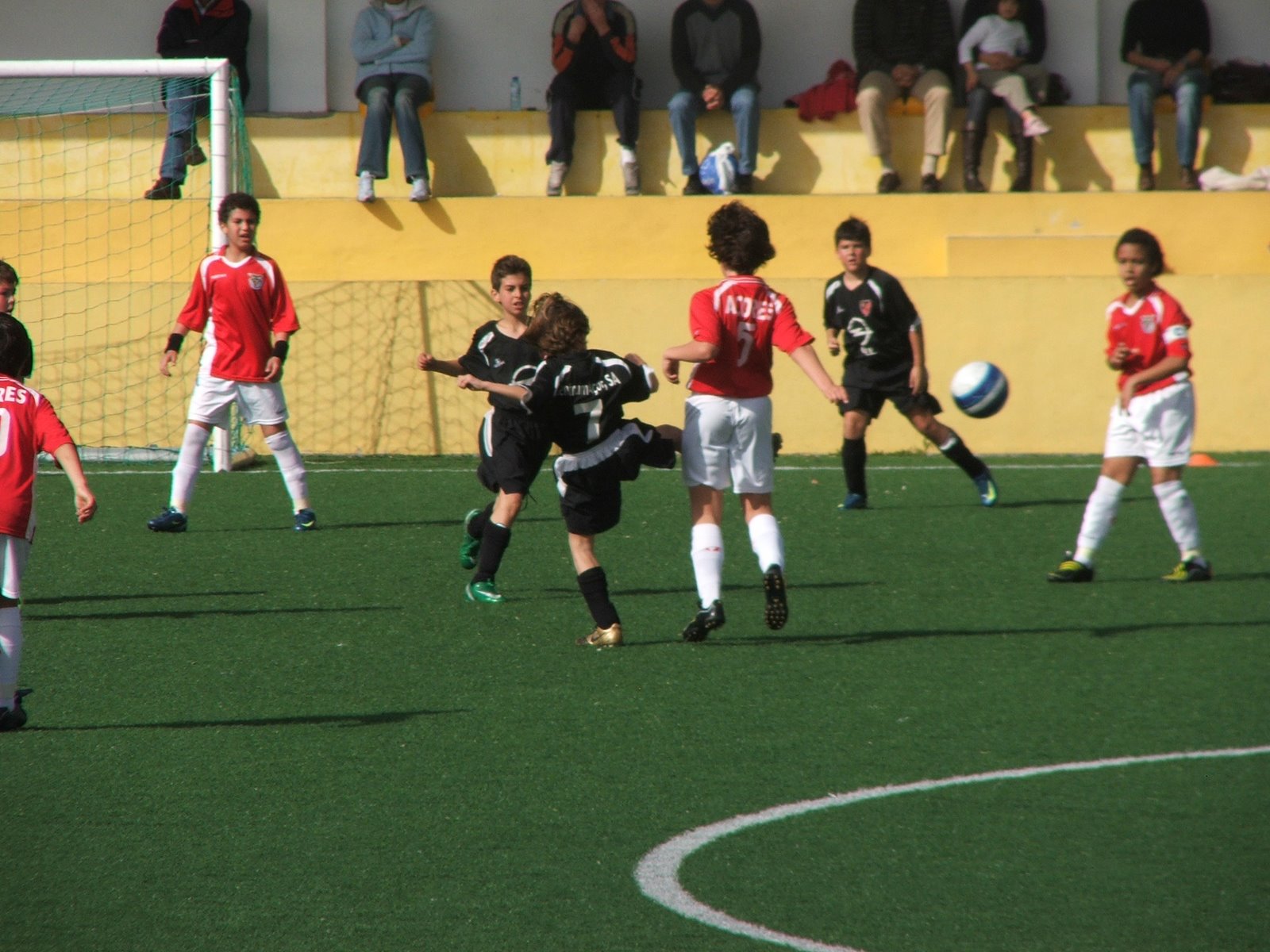 [DSCF2204.JPG]