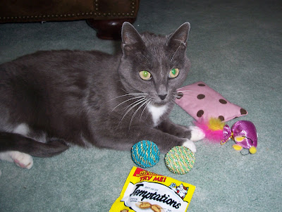 Meeko+coloring+pages