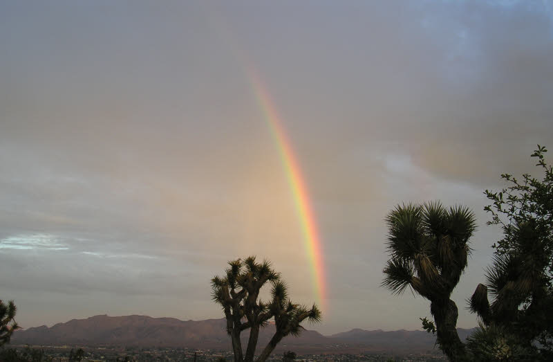 [Rainbow.jpg]