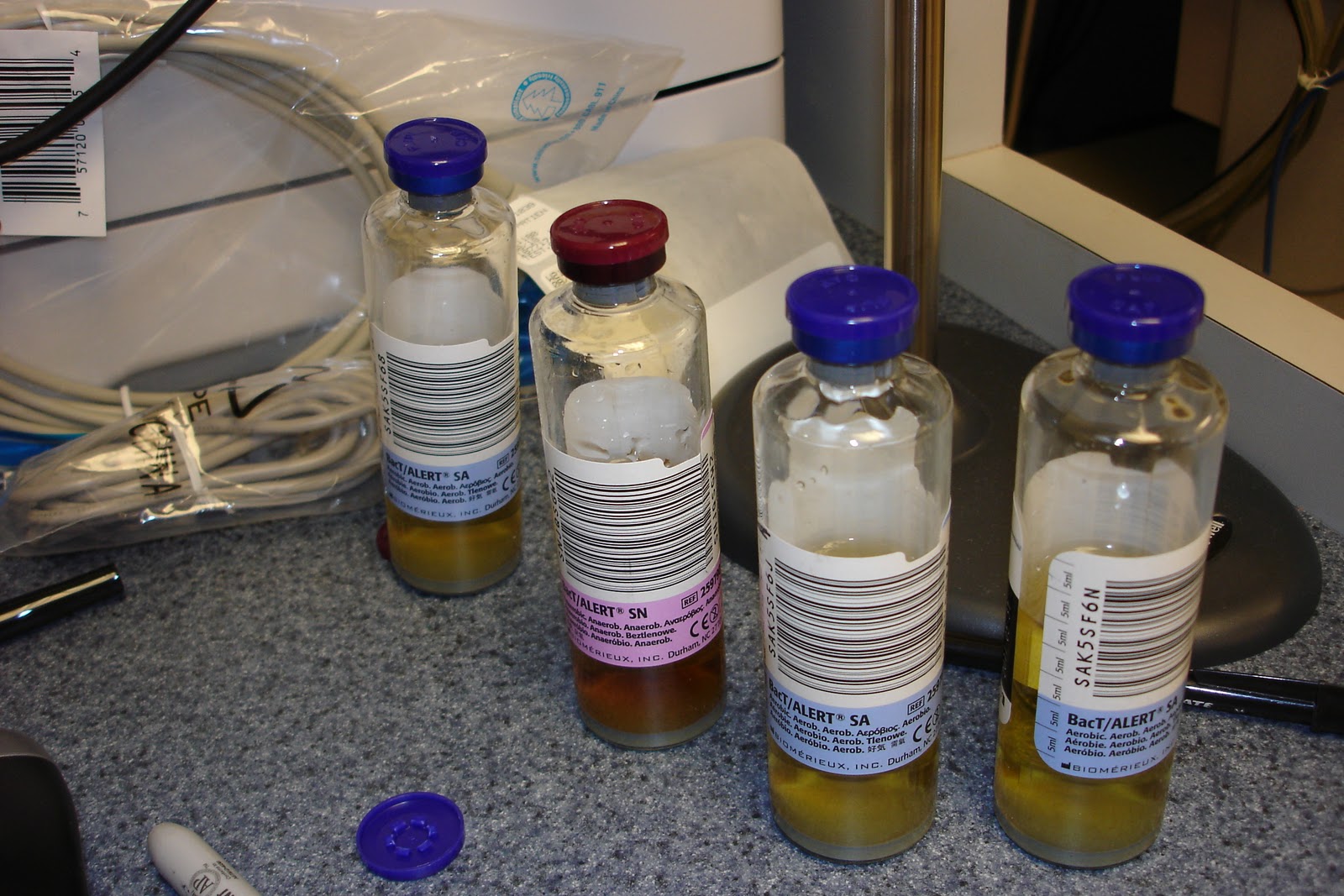 Lab HOT Shots BacT ALERT now at Latrobe Lab