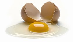 [broken_eggs.jpg]