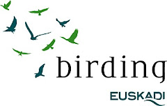 Birding Euskadi