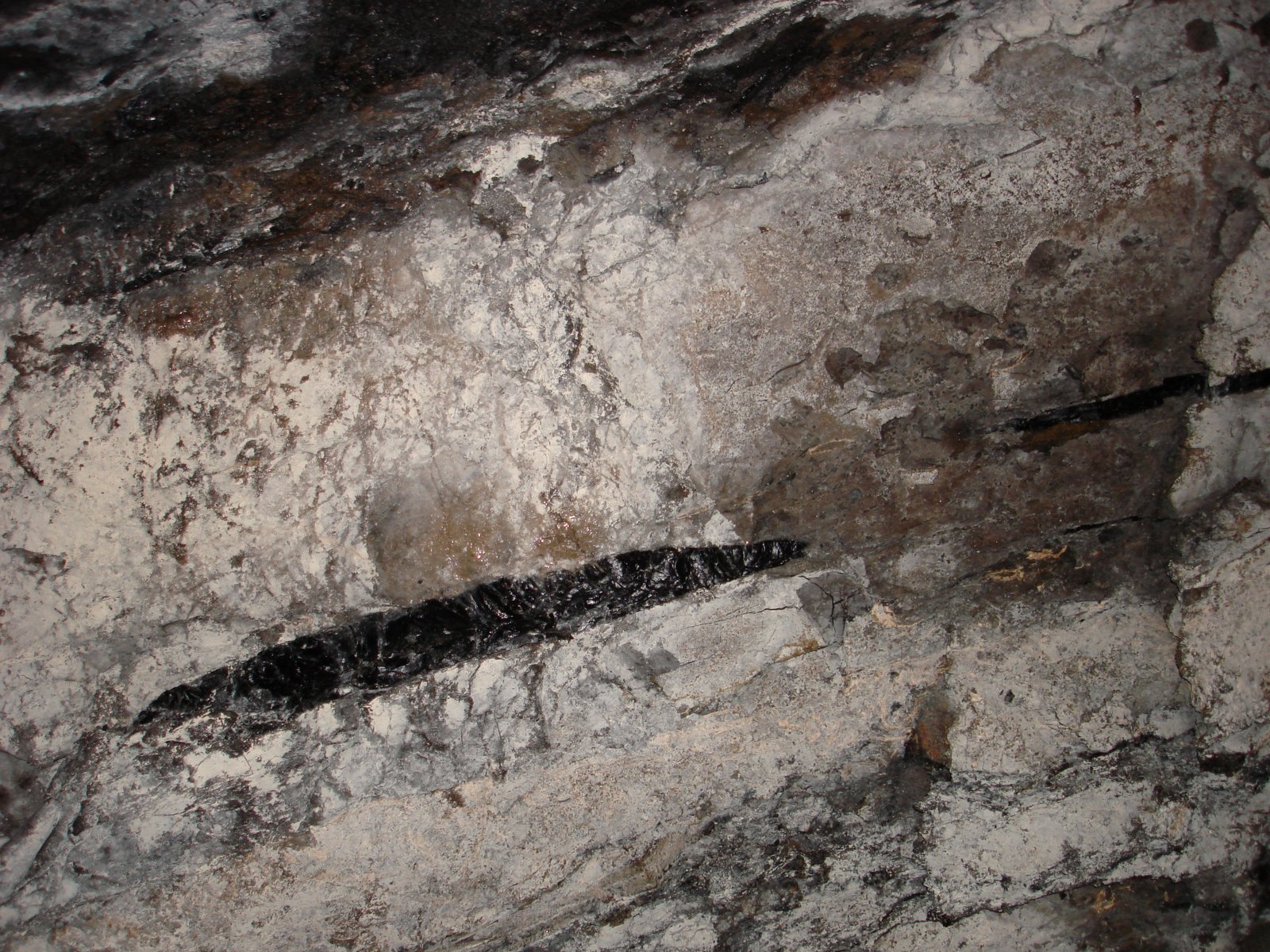 [DSC01061.JPG]
