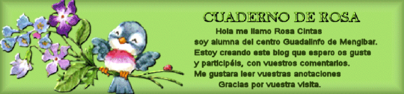 CUADERNO DE ROSA