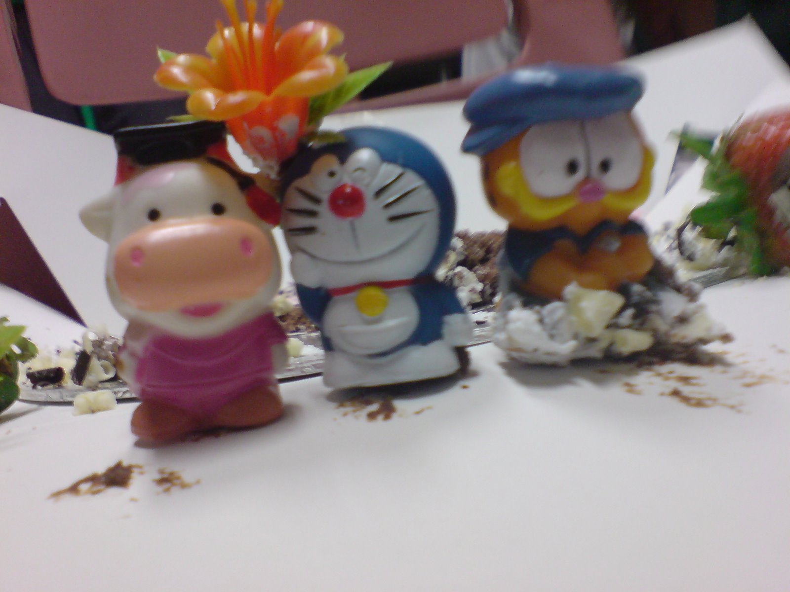 [DSC00523.JPG]