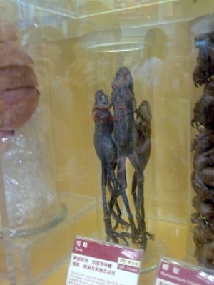 [Image257.jpg]