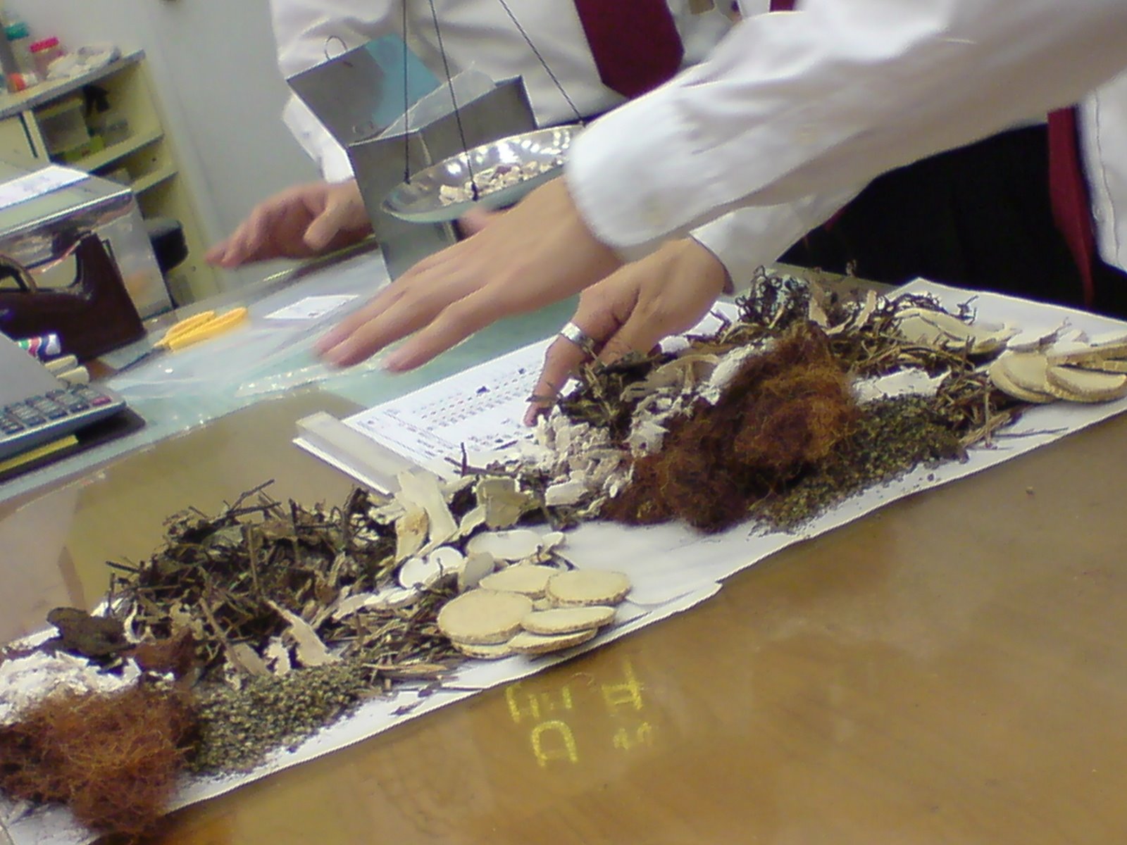 [DSC00950.JPG]