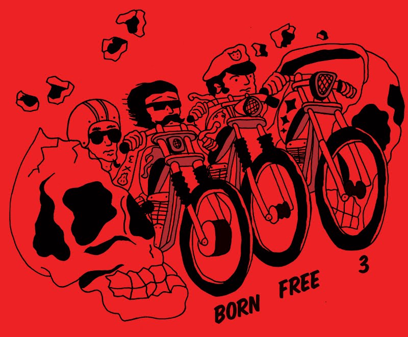 born free flyer contest is over born free motorcycle show born free flyer