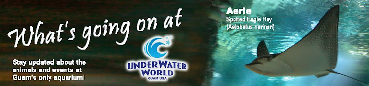 Events and Happenings - UnderWater World Guam