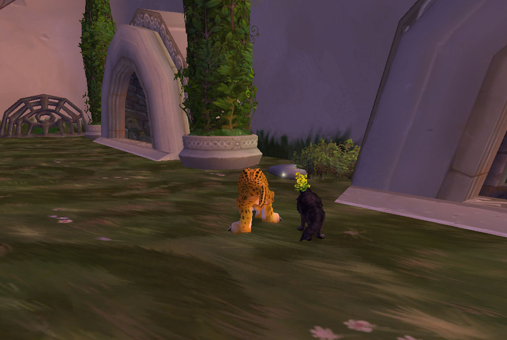 A World of Warcraft Blog WoW Tips