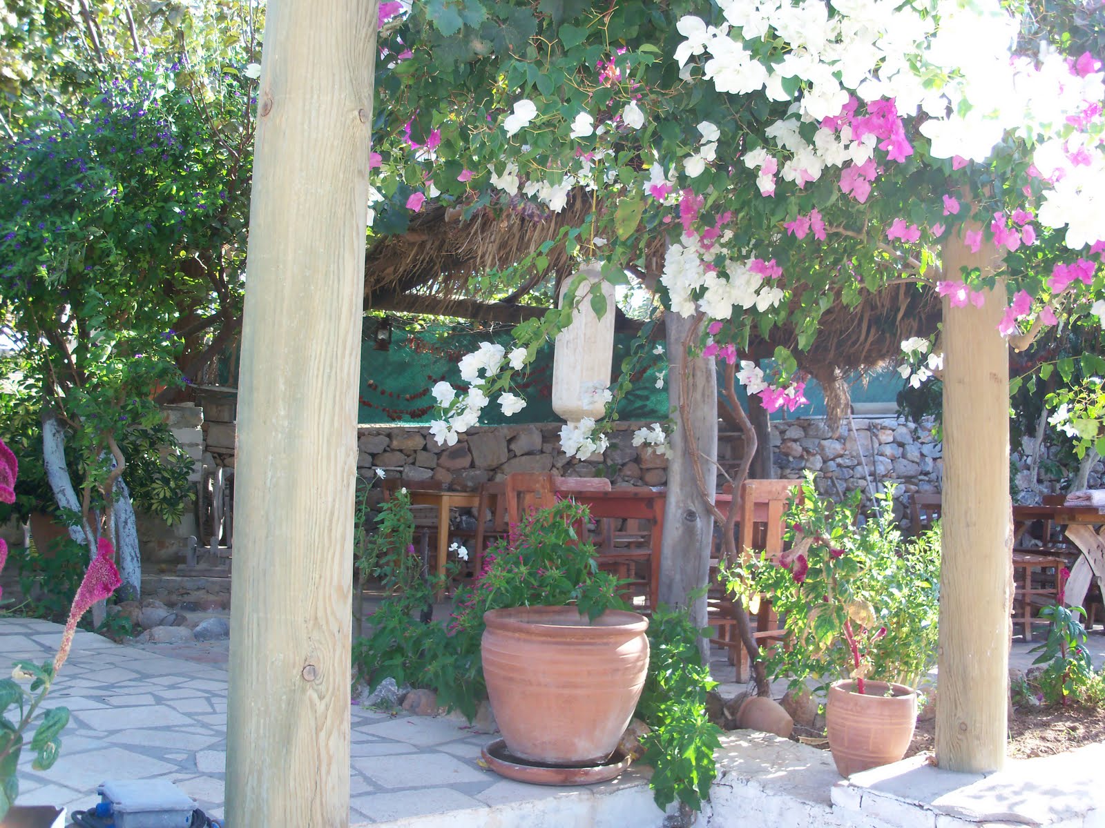 Eski Datca