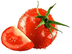 quelle maladie la tomate rencontre elle le plus fréquemment