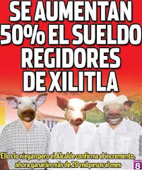 Los inteligentes y honestos regidores de Xilitla