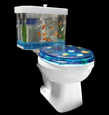 [toilet-aquarium.jpg]