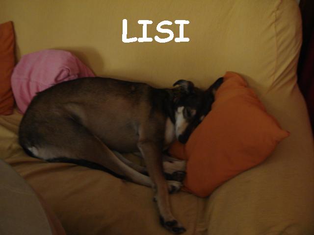 LISI